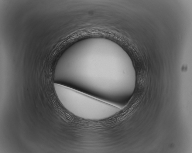 X0000097661490200802290909