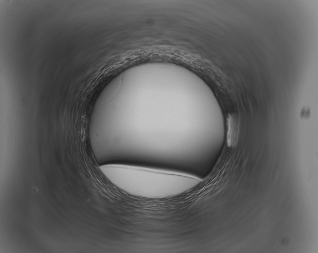 X0000097661491200802290909