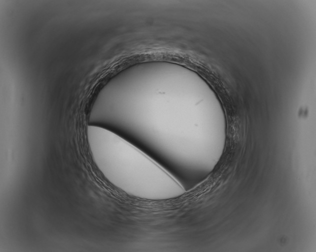 X0000097661493200802290909