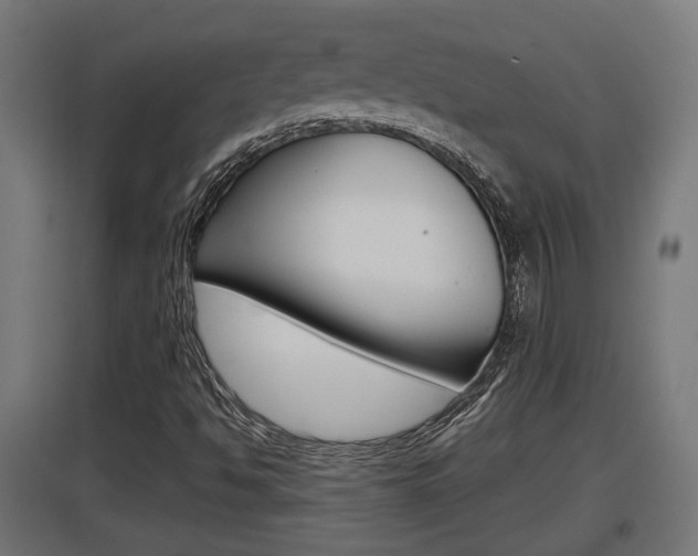 X0000097661494200802290909