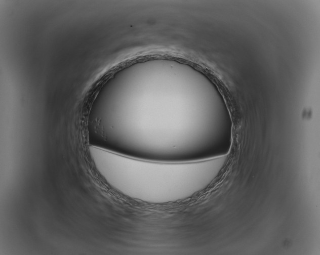 X0000097661496200802290909