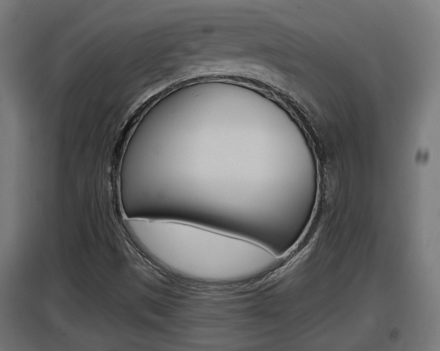 X0000097661497200802290909