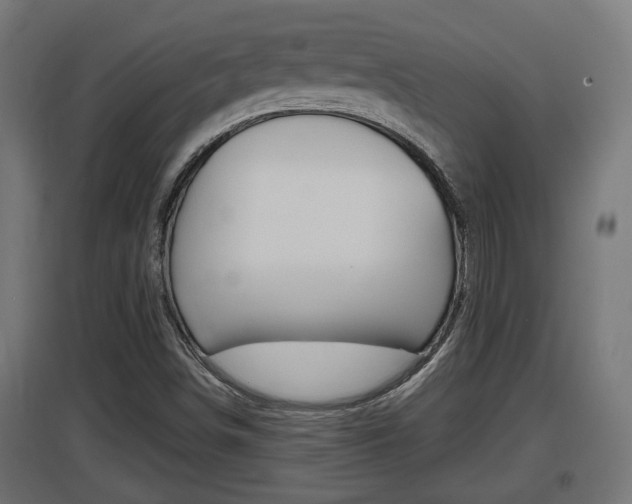 X0000097661498200802290909