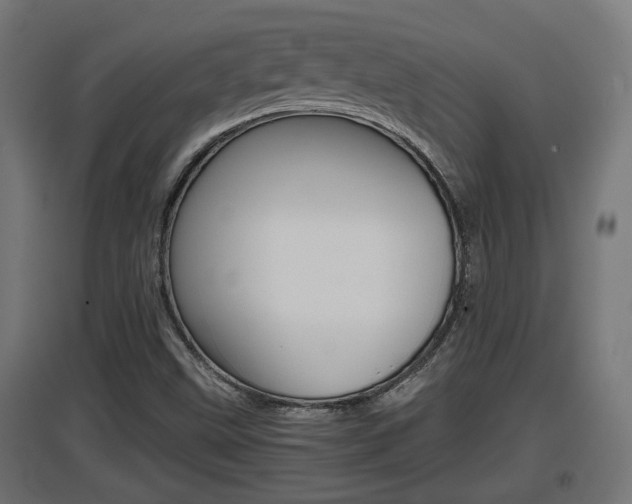 X0000097661499200802290909