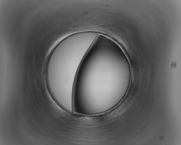 X0000097661500200802290909