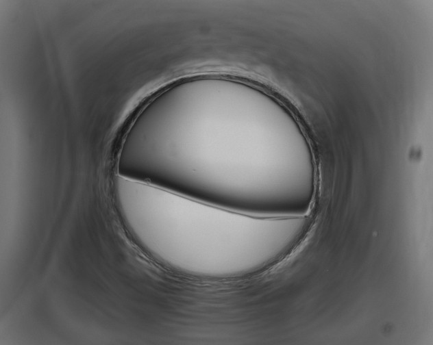 X0000097661501200802290909