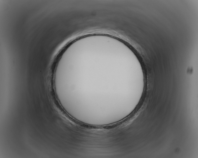 X0000097661502200802290909