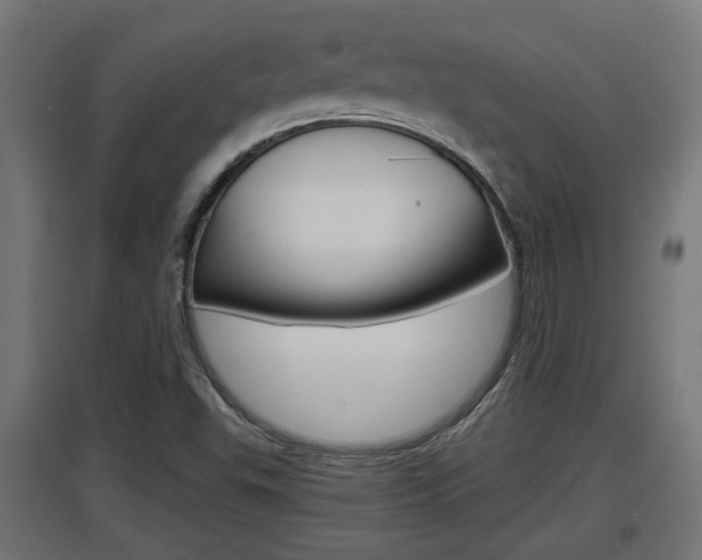 X0000097661503200802290909