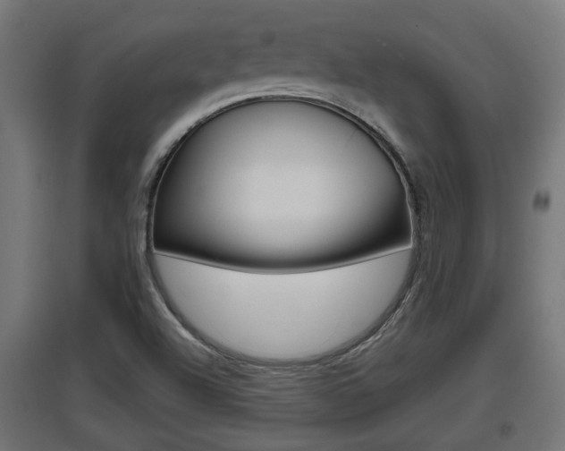 X0000097661504200802290909