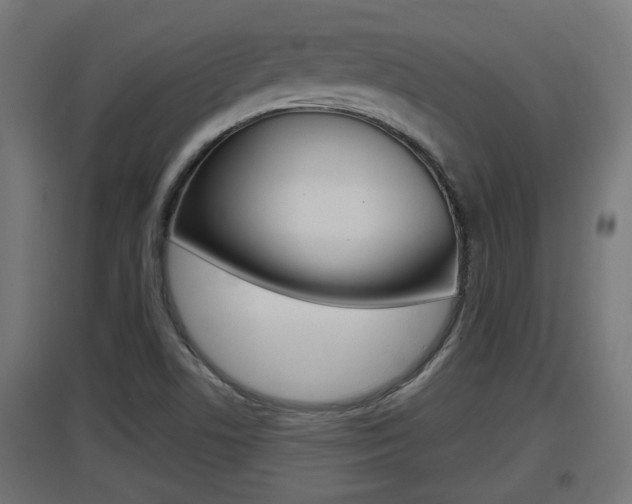 X0000097661506200802290909