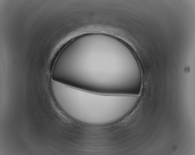 X0000097661507200802290909