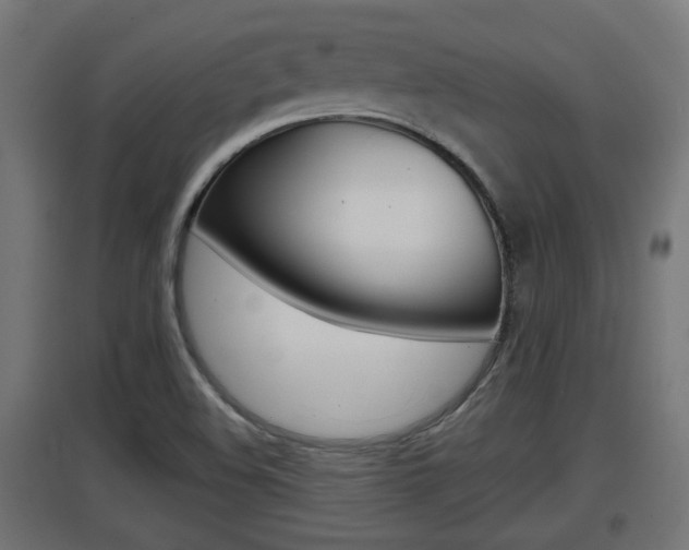 X0000097661508200802290909