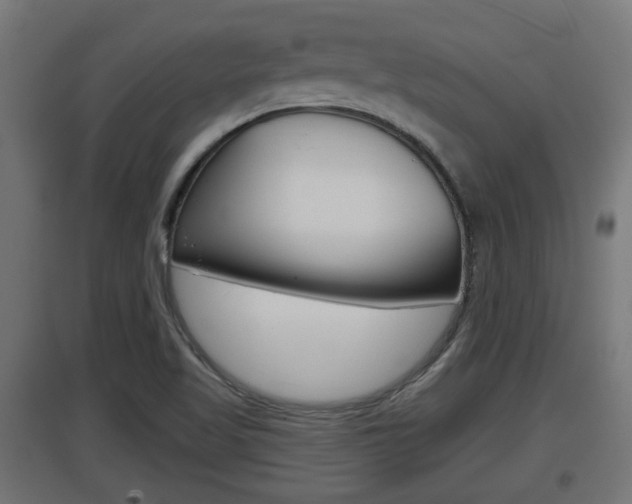 X0000097661509200802290909