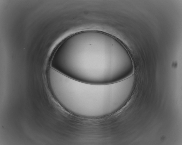 X0000097661510200802290909
