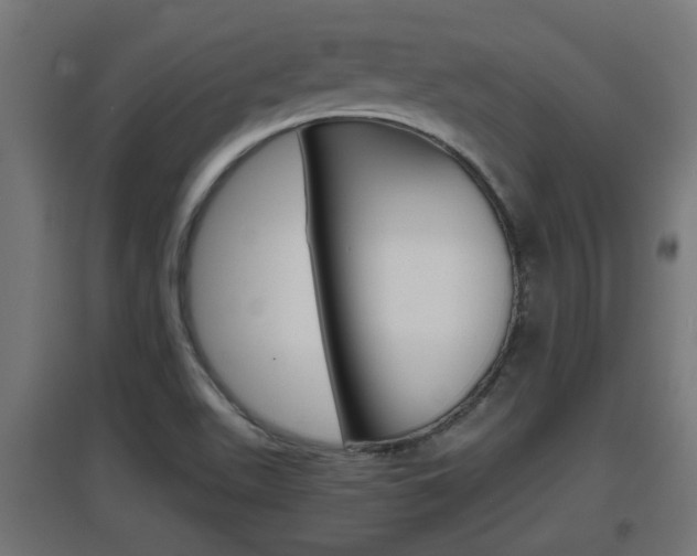 X0000097661511200802290909