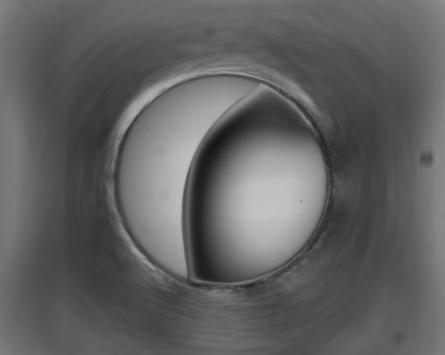X0000097661512200802290909