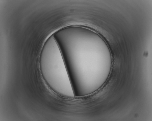 X0000097661513200802290909