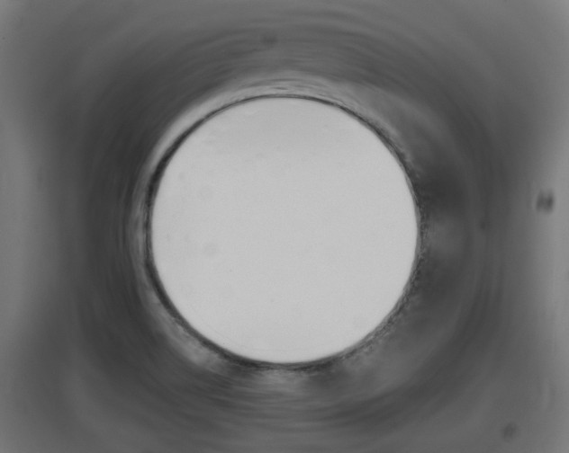 X0000097661514200802290909