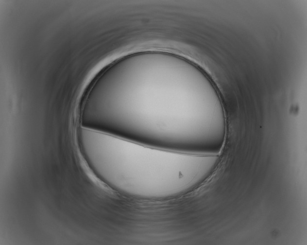 X0000097661515200802290909