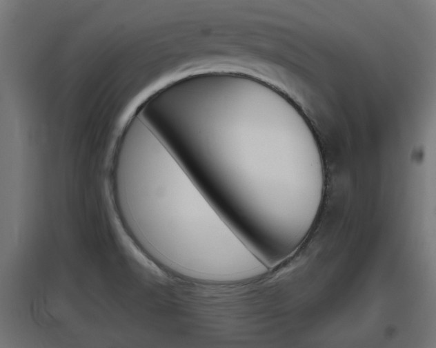 X0000097661518200802290909