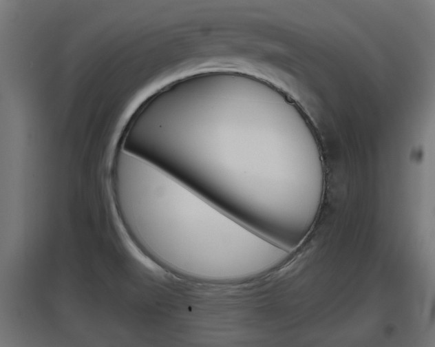 X0000097661519200802290909