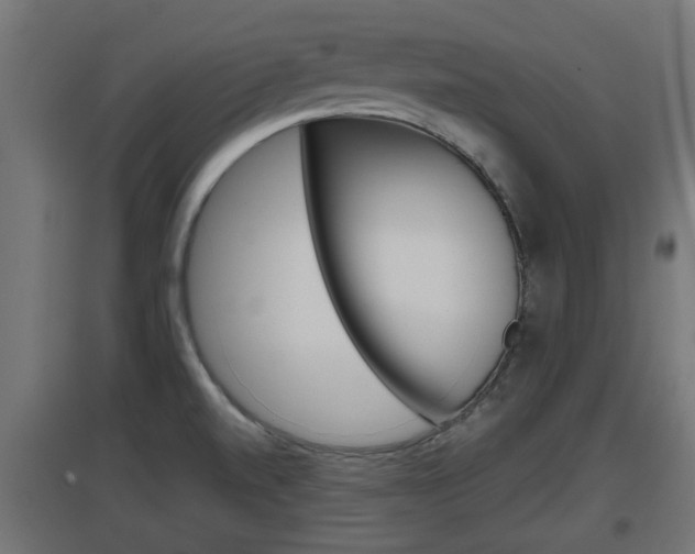 X0000097661520200802290909