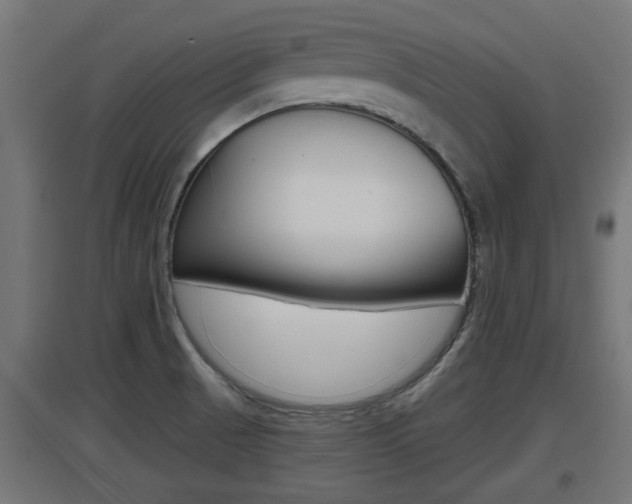 X0000097661521200802290909