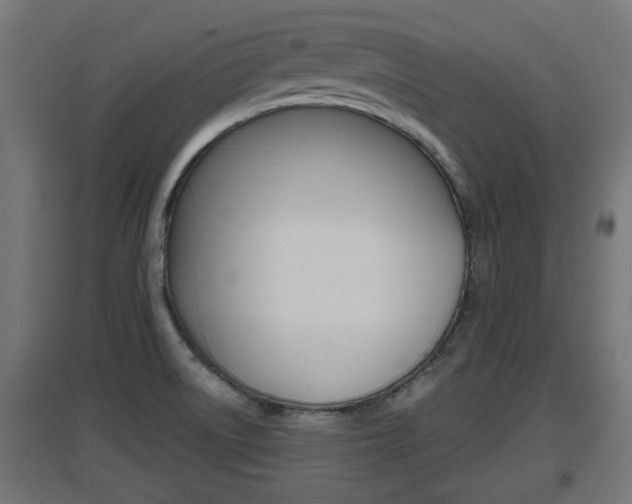 X0000097661522200802290909