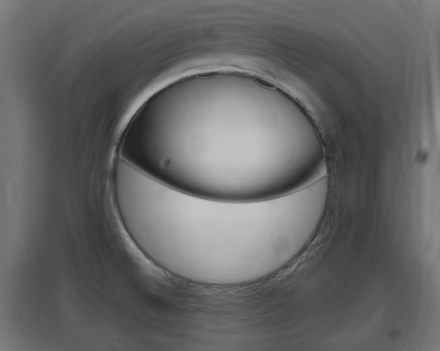 X0000097661524200802290909