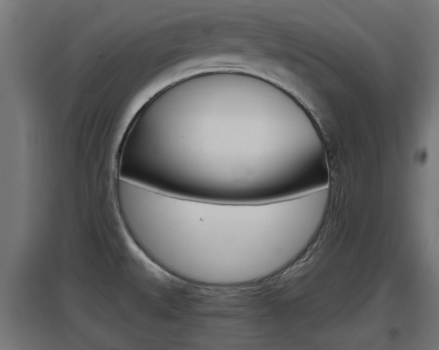 X0000097661527200802290909
