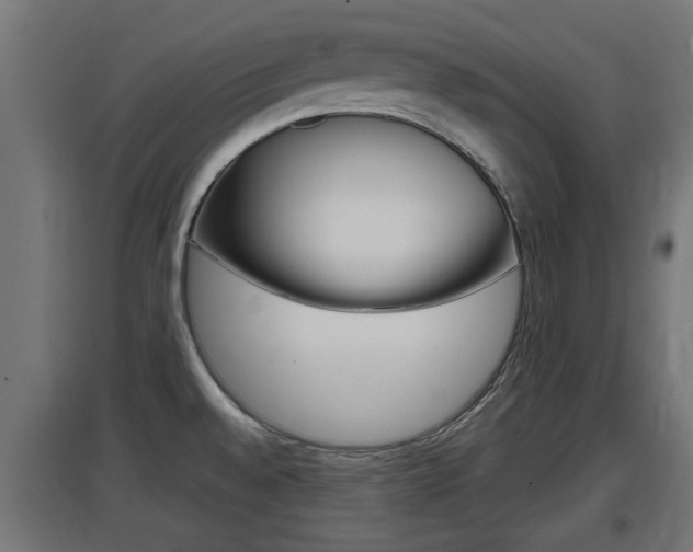 X0000097661528200802290909