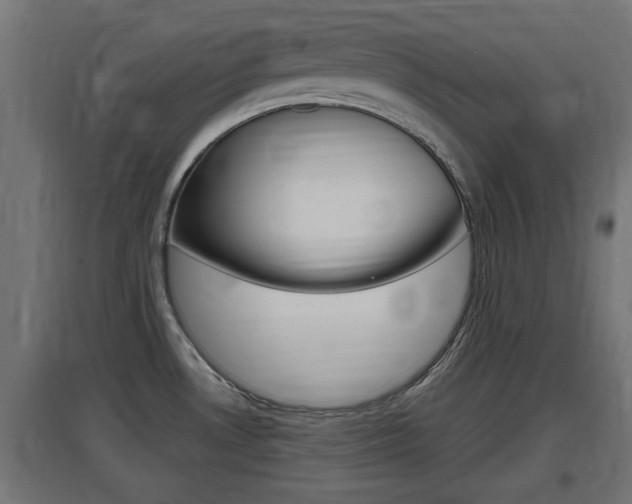 X0000097661530200802290909