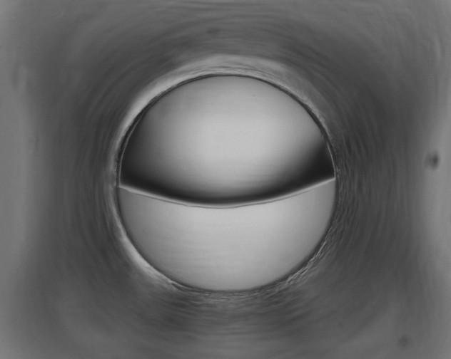 X0000097661531200802290909