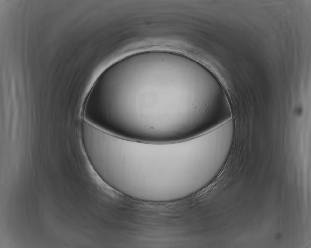 X0000097661532200802290909