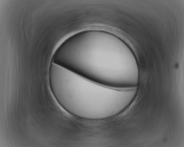 X0000097661533200802290909