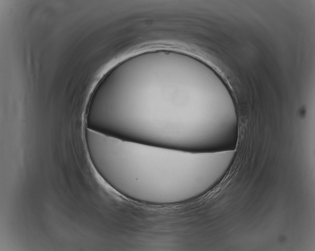 X0000097661535200802290909