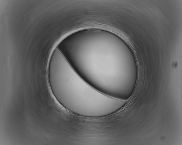 X0000097661536200802290909