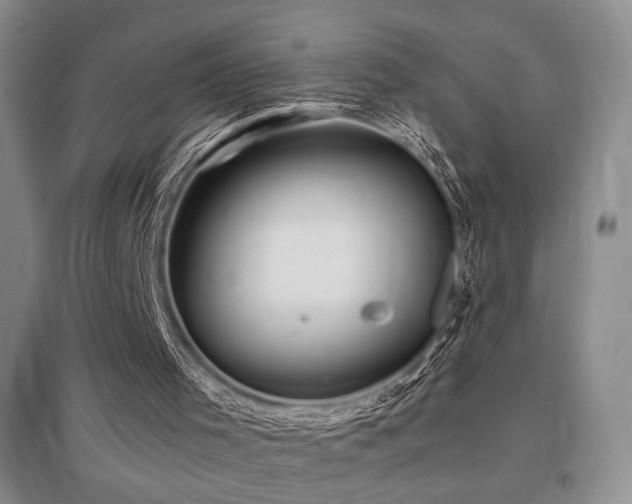 X0000097660001200802291437