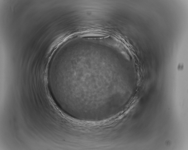 X0000097660002200802291437