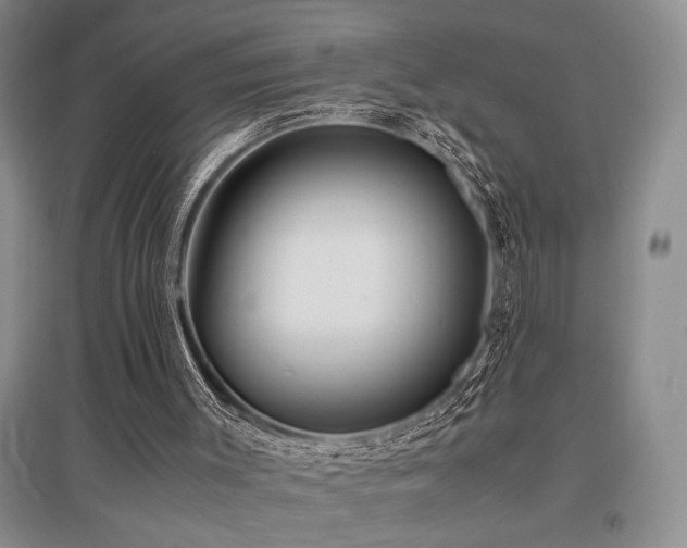 X0000097660003200802291437