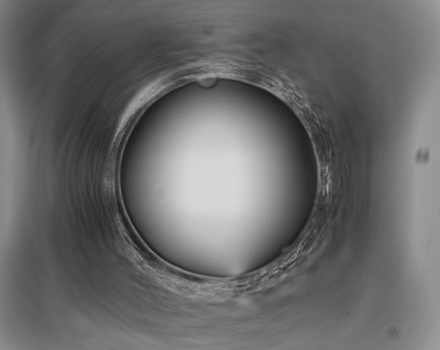 X0000097660004200802291437