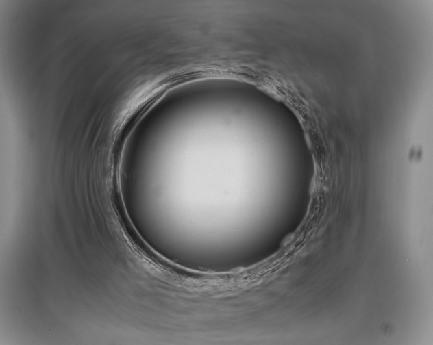 X0000097660005200802291437
