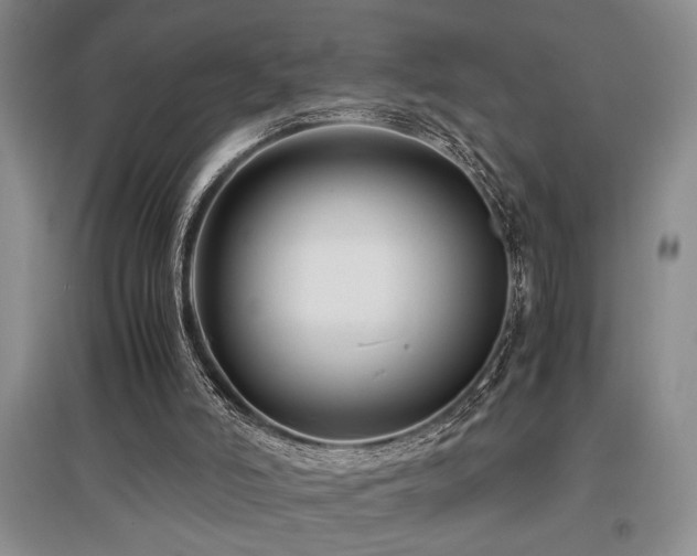 X0000097660006200802291437