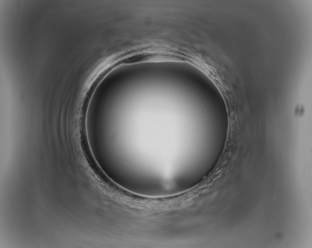 X0000097660007200802291437