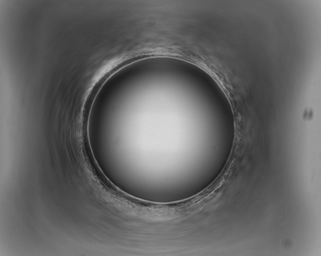 X0000097660008200802291437