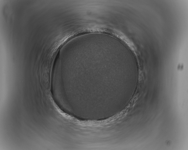 X0000097660009200802291437