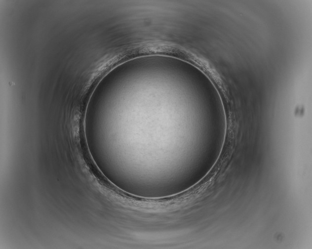 X0000097660010200802291437