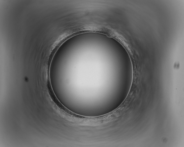 X0000097660011200802291437