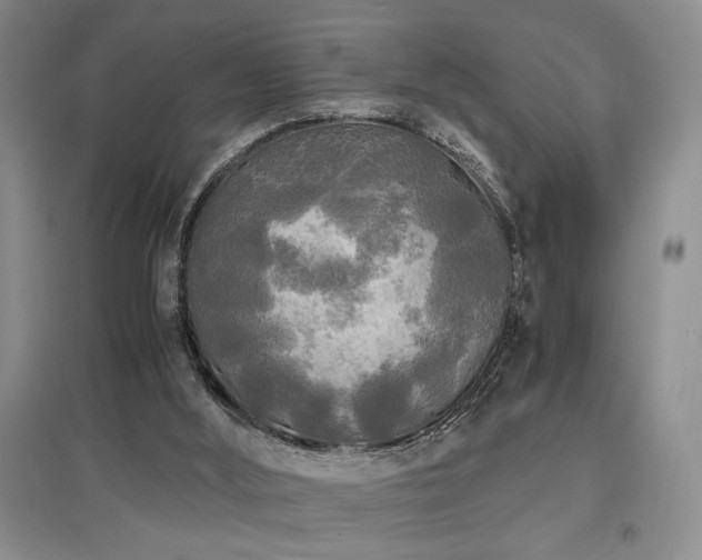X0000097660012200802291437