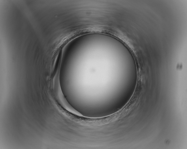 X0000097660013200802291437